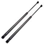 2Pcs Rear Tailgate Lift Supports for Nissan Murano (2005–2007)