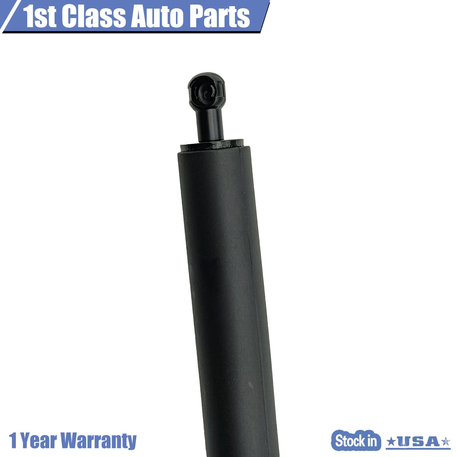 Lift Supports for Ford Edge (2015-2018) Rear Tailgate