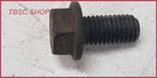 Set of 8 Flex Plate Bolts for Jaguar XJ8 XK8 VDP (1999–2003)