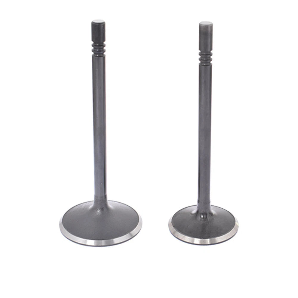 Intake Exhaust Valves Kit for Ford Explorer Mazda B4000 (1997–2010)