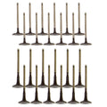 Set of 24 Intake & Exhaust Valves Kit for 4Runner Avalon Camry Tundra V6