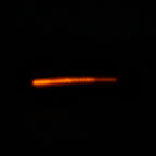 LED Side Mirror Turn Signal Light for Benz SLK SL R171 W171 R230 W230