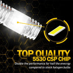 H7 LED Headlight Bulbs Kit for High/Low Beam (50000LM, 6000K)