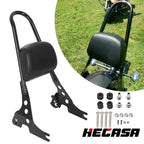 Detachable Sissy Bar Backrest for Harley Sportster 883 1200 XL (2004–2022)