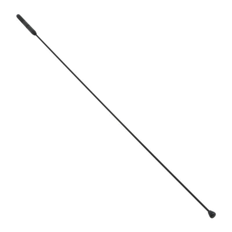 2X AM FM Antenna for Harley Electra Road King Street Glide (1986–2024)