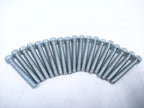 Socket Screw Pack of 19 for Volvo Penta (OEM) 947671