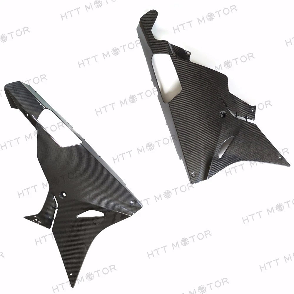 Lower Bodywork Belly Pan Fairing for BMW S1000RR (2015–2017) - Carbon Fiber