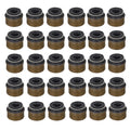 30pc Engine Valve Stem Oil Seal Set for Audi A4 A6 Allroad Quattro Passat S4 (1996–2023)