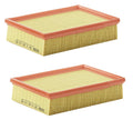 2X Mann-Filter Engine Air Filter for BMW
