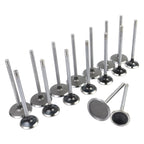 Intake & Exhaust Valves for Chrysler Dodge Ram 1500 Jeep Charger (2009–2018)