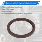 1 Pc Rear Crankshaft Oil Seal for Hyundai Santa Fe (2010–2020) No. 214432G000