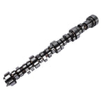 Camshaft .595" Hydraulic Roller for GM Chevrolet LS-Series (E-1841-P)