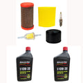 Set of 2 LG262 Filters w/ Spark Plug & Oil 5135B for JD & Briggs Stratton