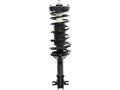 Rear Strut and Coil Spring Assembly for Mazda 323 (1990–1994) PH954YZ