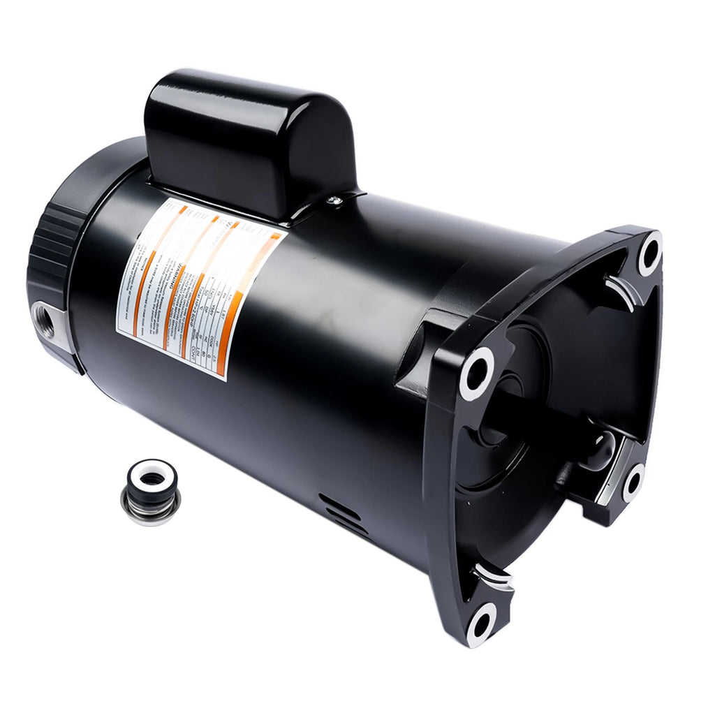 2.5HP Pool Pump Motor for Square Flange (230V, 60Hz)