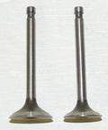 WSM Engine Valve Kit for Honda ATC/TRX (1978–1987) - 017-001
