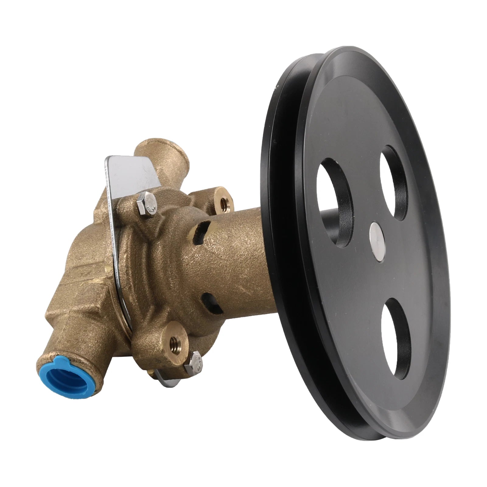 Raw Water Pump for Sherwood Pleasurecraft G20 G21