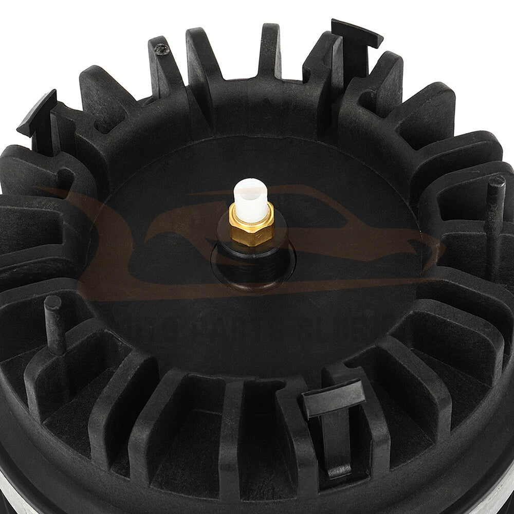 Rear Pair Air Suspension Springs for Dodge Ram 1500 (2013-2019)