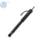 Rear Shock Absorber for Lexus GX470 (2003-2009)