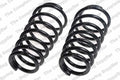 Rear Coil Spring 4492523 for Lesjofors