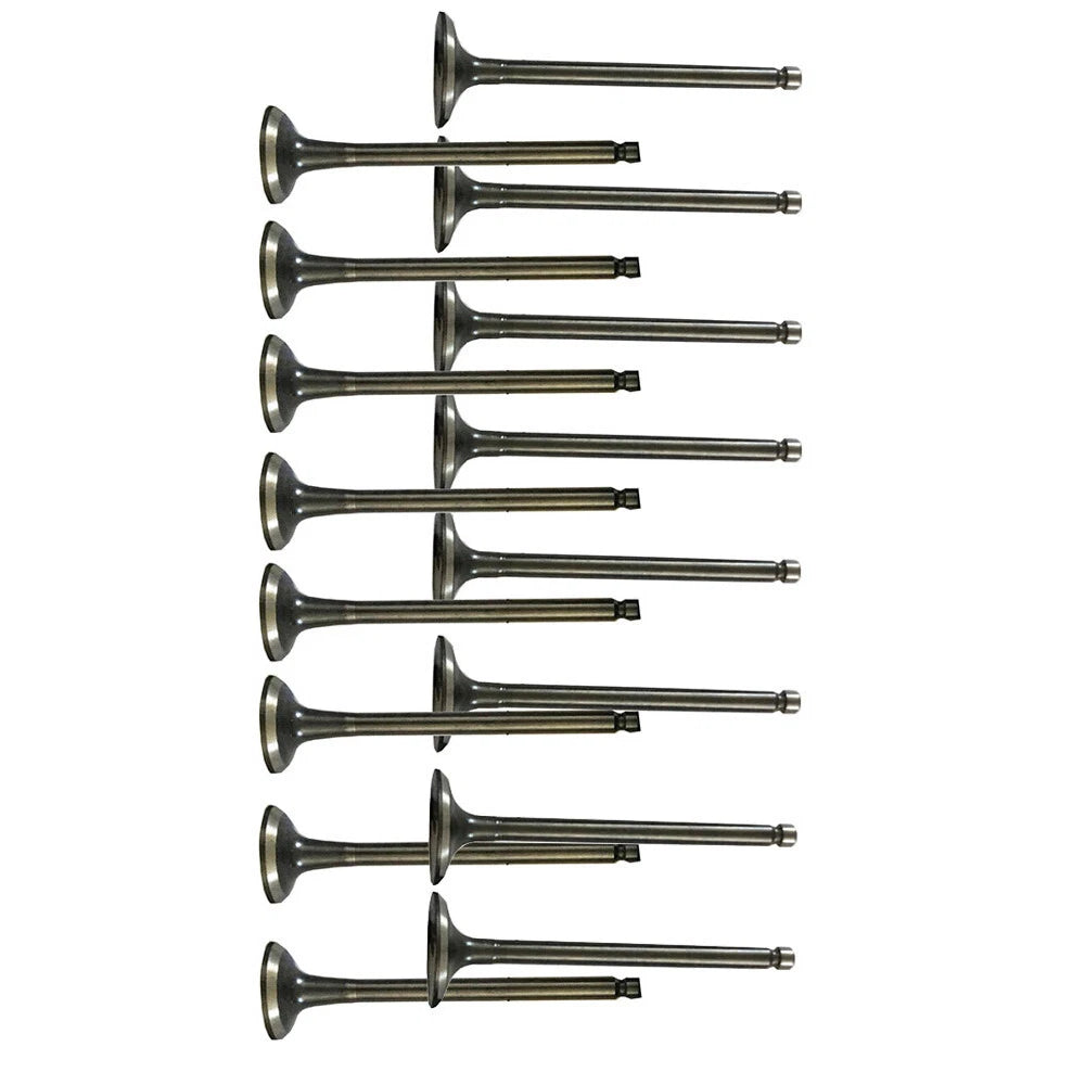 Exhaust & Intake Valves for Hyundai Accent Kia Rio (1996–2011)