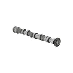 Exhaust Camshaft Left Side for Dodge Caravan, RAM 1500 3.6L V6 (2013–2018)