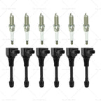 6x Ignition Coils & 6x Spark Plugs for Nissan Renault 3.5L (2007–2019) 22448JA10A