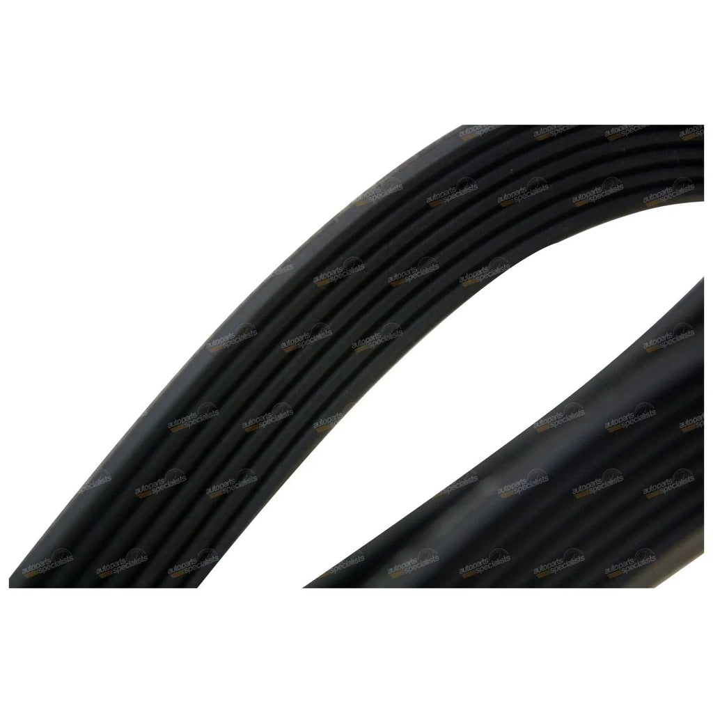 Multi Rib Fan Drive Belt for Patrol GU Y61 (2007-2015)