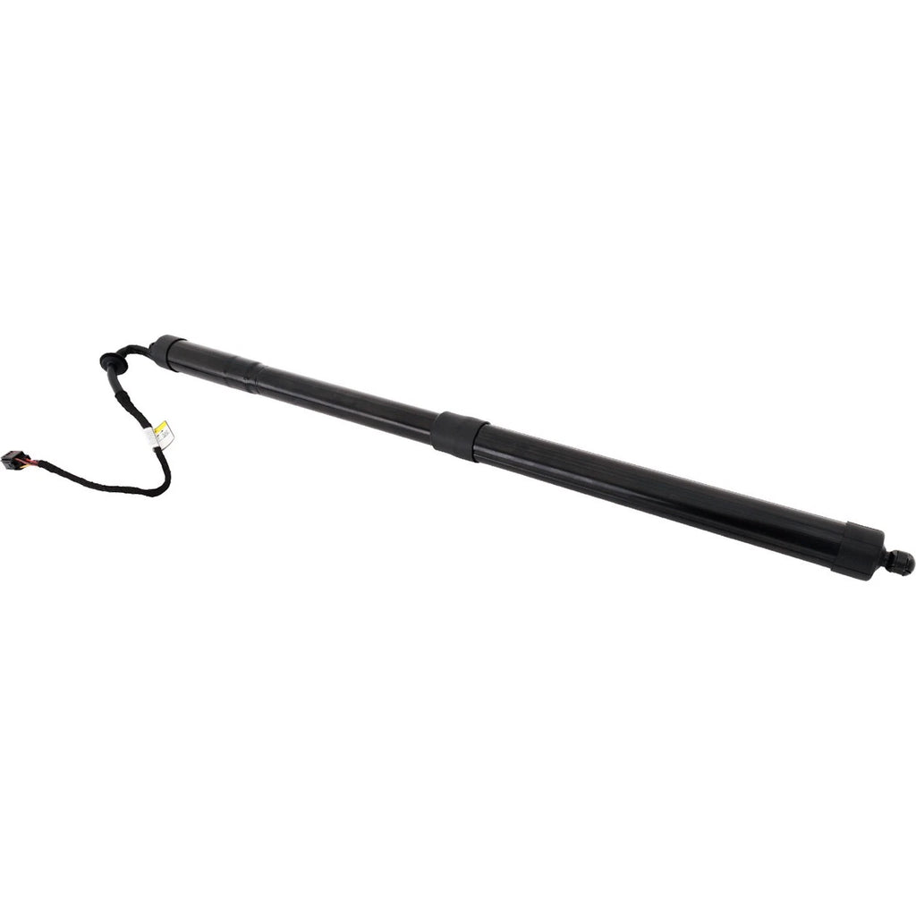 Liftgate Lift Supports for Range Rover Sport