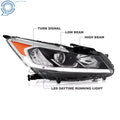 Headlight Halogen with LED DRL for Honda Accord Sedan (2016–2017)