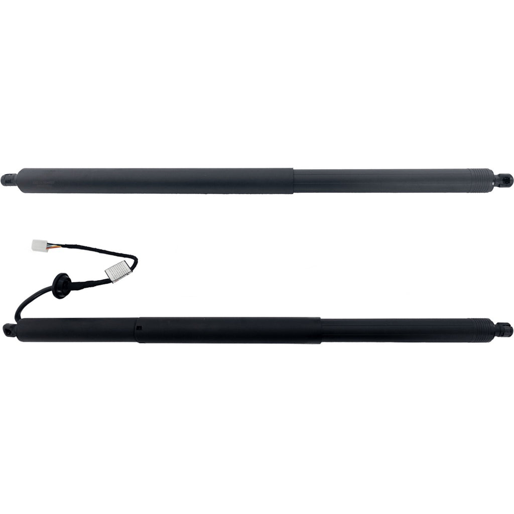 Liftgate Lift Supports Set of 2 for X Pair