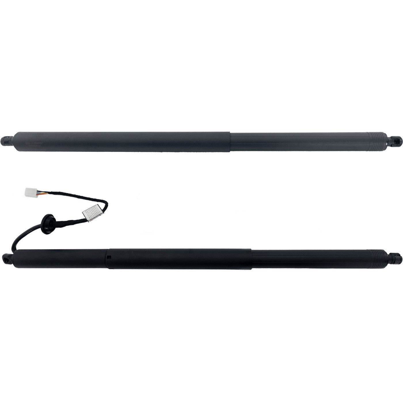 Liftgate Lift Supports Set of 2 for X Pair