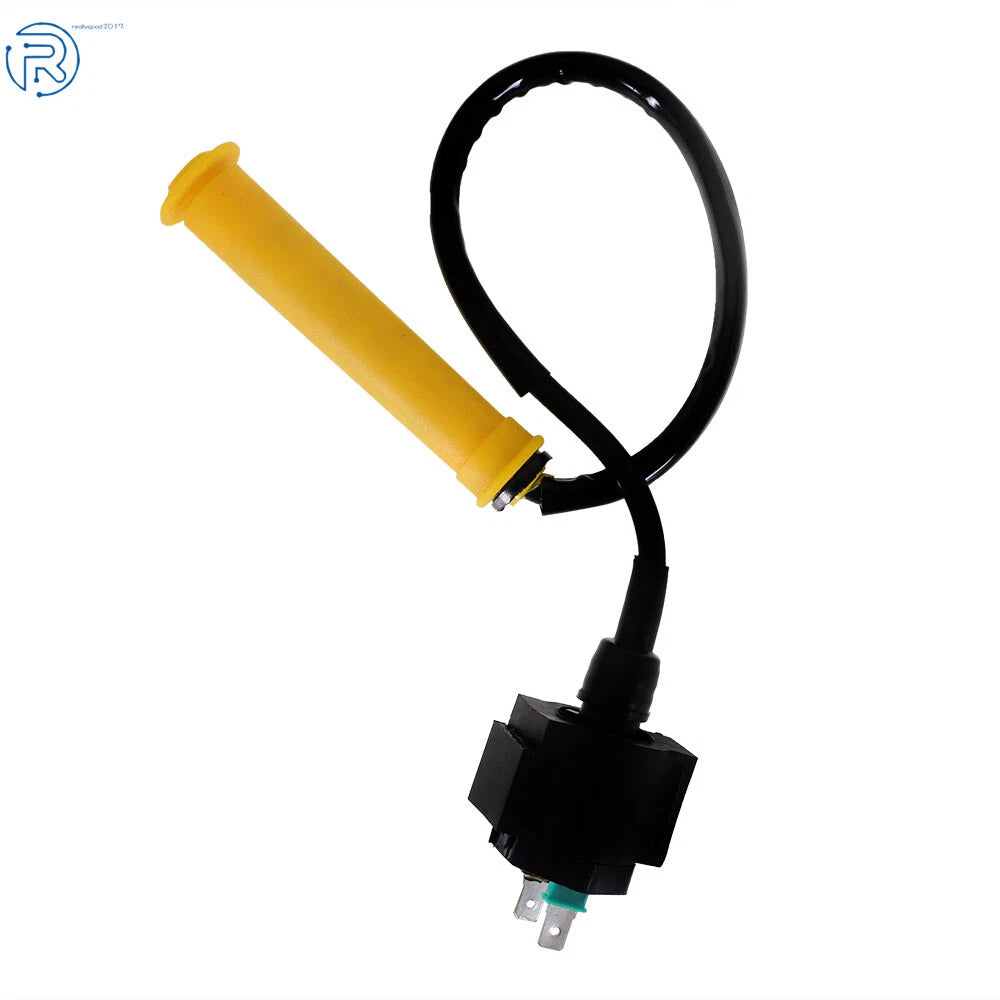 Ignition Coil & Spark Plug for Honda Foreman Rubicon 500 TRX500FA (2005–2014)
