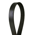 Serpentine Belt for Ford Escape (2009–2012)
