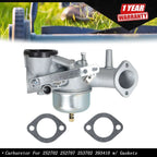 Carburetor for Briggs & Stratton (252700–253700) with Gaskets