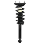 2X Rear Suspension Shock Strut for Infiniti I35 I30 (2000-2004)
