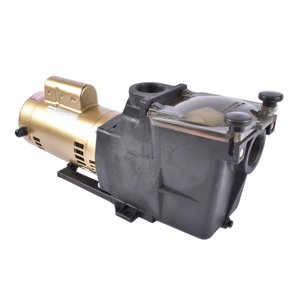 2 HP Pool Pump Motor for Super Pump (230V)