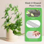 Transparent U Shaped Trellis for Indoor Plants and Vines Display
