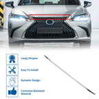 Front Upper Grille Trim for Lexus ES 250 (No. 5312106310)