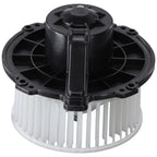 Blower Motor for Isuzu Axiom Rodeo Sport Honda Passport Amigo (2000)