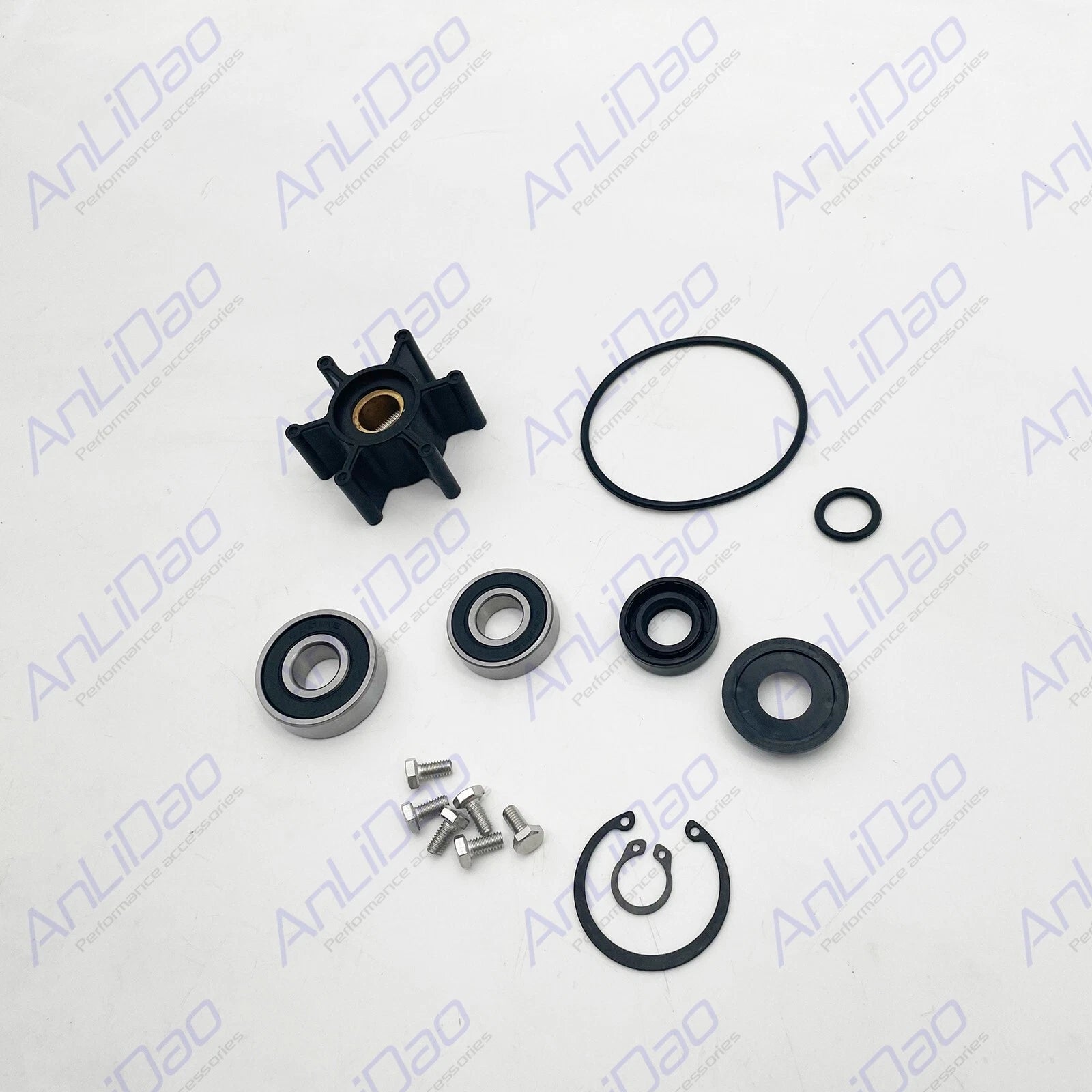 Major Rebuild Kit for Johnson Pump (10-24509-01, 10-24509-02, 10-13337-01, 10-13492)