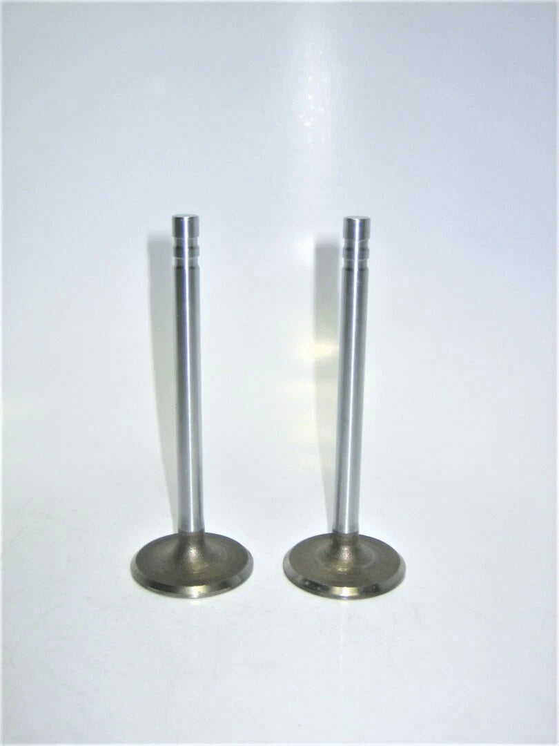2X Intake Valve for Chevrolet Marine V6 V8 4.8L 5.0L 5.7L (GM 3989088)