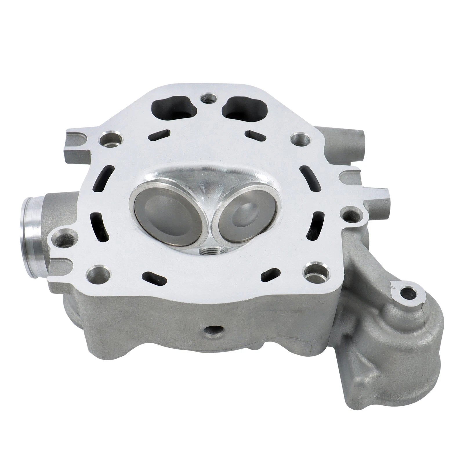Cylinder Head for Honda TRX420 TRX500 SXS500 (2006–2021) 12200-HP7-A01