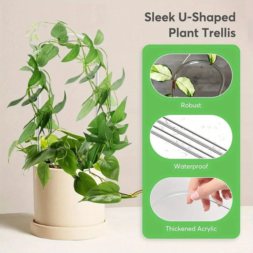 Transparent U Shaped Plant Trellis for Indoor Plants and Vines Display