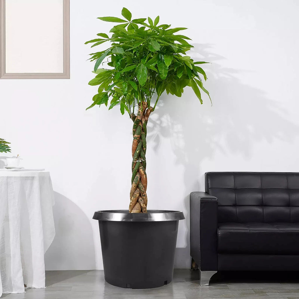 Set of 5 Heavy Duty Plastic Nursery Pots for Plants (1/2/3/5/7/10/15 Gallon)