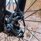 Disc Brake Calipers Set of 2 for MTB Bike (Dual Disc)