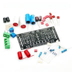 LM3886 Dual Channel Audio PCB for Custom Builds (Unpopulated)