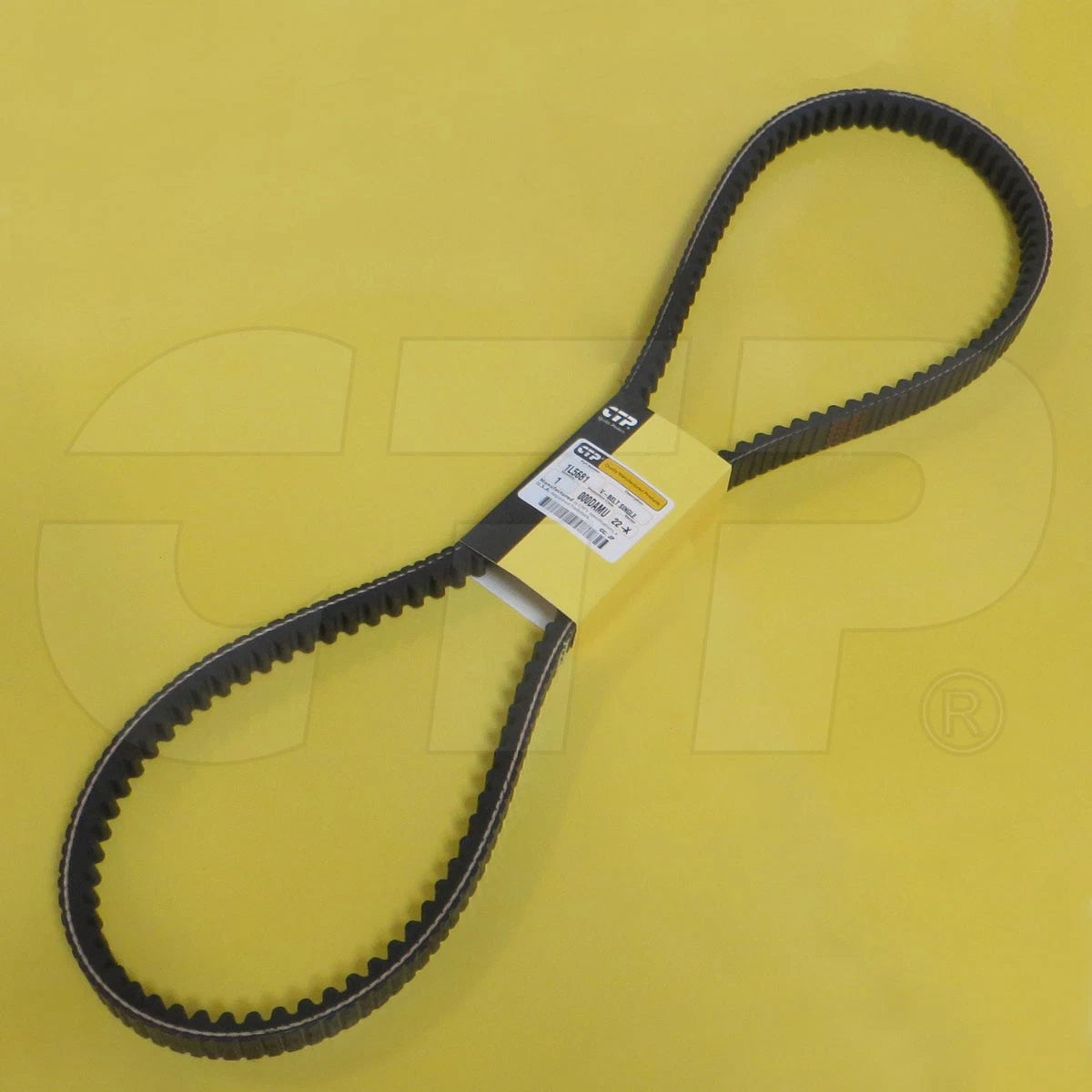 V-Belt Single for Caterpillar Models (1L5681)