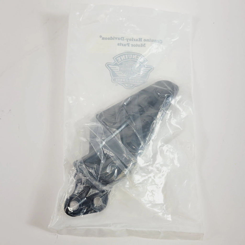 Right Front Frame Neck Cover for Harley Davidson Sportster S (2021–2023) 47200779