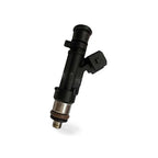 Fuel Injector for Dacia Logan Sandero Renault Clio Megane Scenic (1.4L)